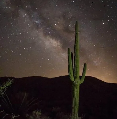 Apartment Serene & Secluded - Heart Of The Sonoran Desert Bunkhouse Casita Scottsdale