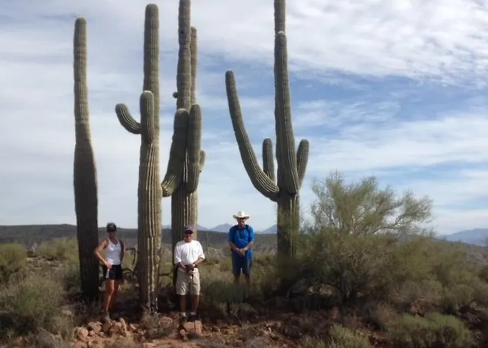 Serene & Secluded - Heart Of The Sonoran Desert Bunkhouse Casita Apartment *