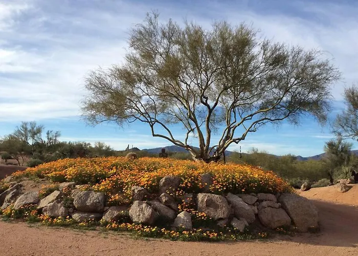 Serene & Secluded - Heart Of The Sonoran Desert Bunkhouse Casita Scottsdale