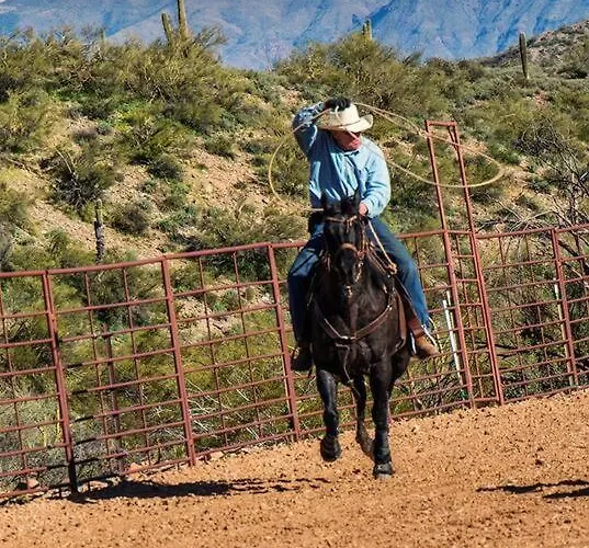 Serene & Secluded - Heart Of The Sonoran Desert Bunkhouse Casita * Scottsdale