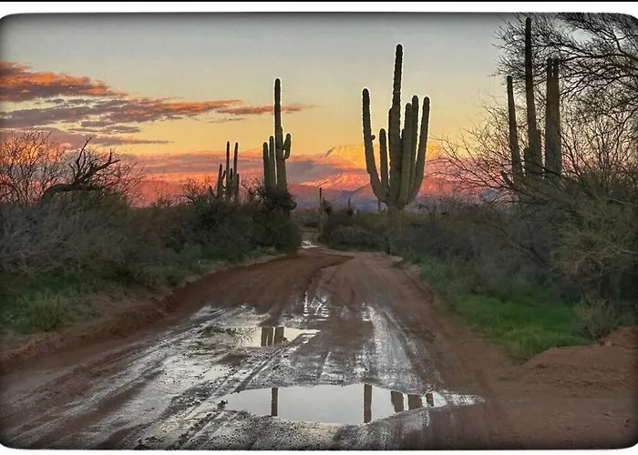 Serene & Secluded - Heart Of The Sonoran Desert Bunkhouse Casita