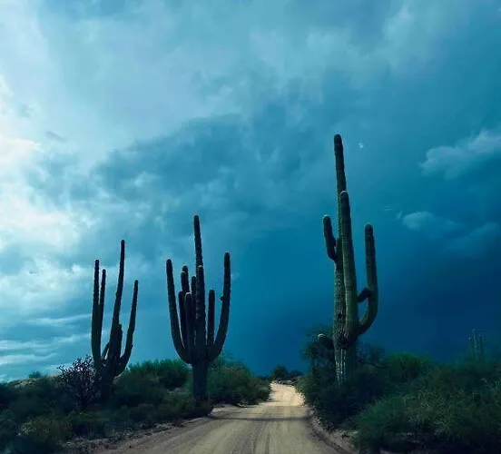 Serene & Secluded - Heart Of The Sonoran Desert Bunkhouse Casita Apartment
