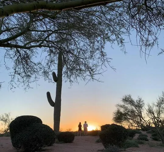 Serene & Secluded - Heart Of The Sonoran Desert Bunkhouse Casita Apartment *