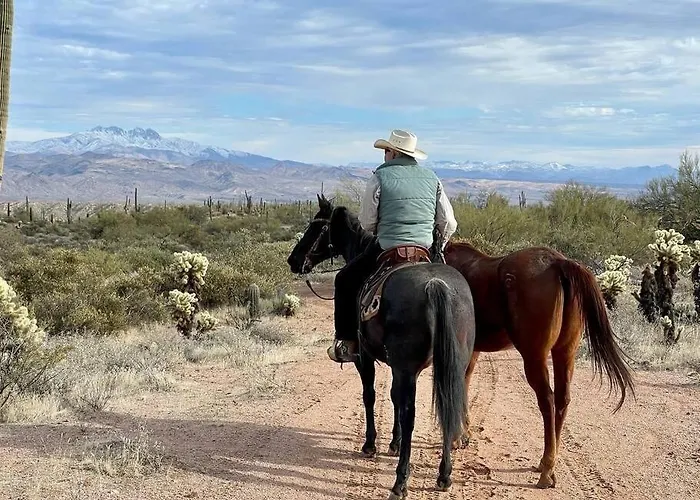 Serene & Secluded - Heart Of The Sonoran Desert Bunkhouse Casita *