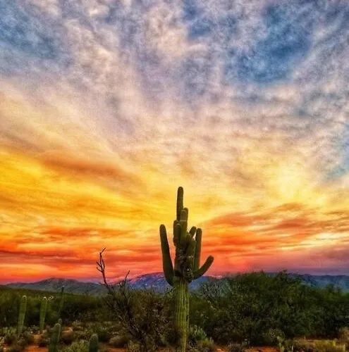 Serene & Secluded - Heart Of The Sonoran Desert Bunkhouse Casita Apartment