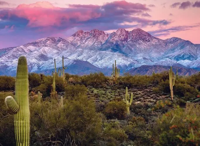 Serene & Secluded - Heart Of The Sonoran Desert Bunkhouse Casita
