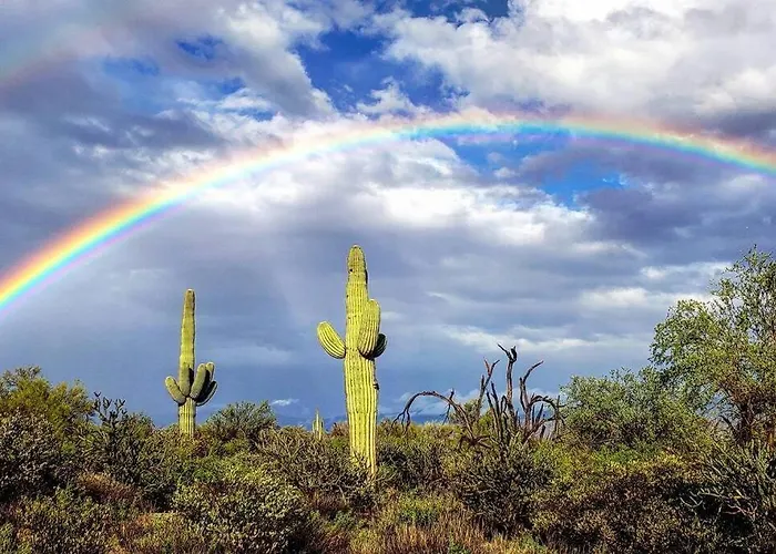 Serene & Secluded - Heart Of The Sonoran Desert Bunkhouse Casita Apartment