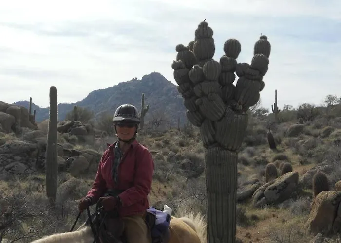 Serene & Secluded - Heart Of The Sonoran Desert Bunkhouse Casita Apartment Scottsdale