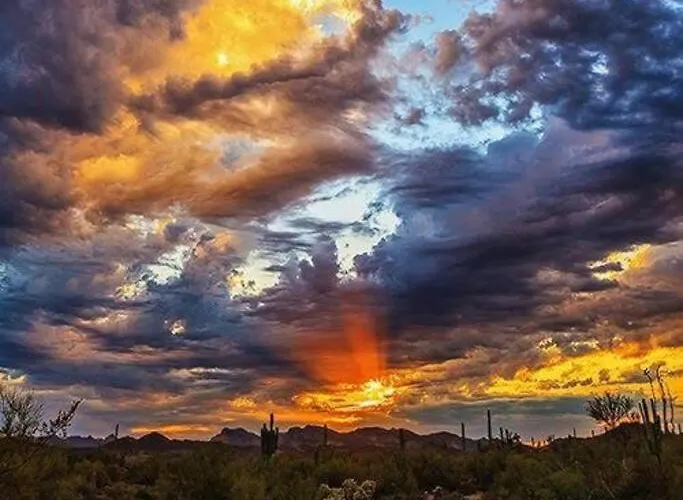 Serene & Secluded - Heart Of The Sonoran Desert Bunkhouse Casita *