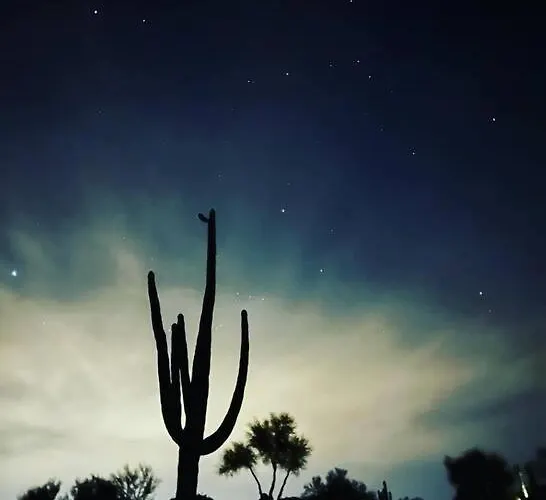 Serene & Secluded - Heart Of The Sonoran Desert Bunkhouse Casita * Scottsdale