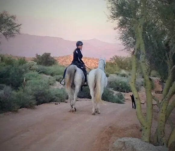 Serene & Secluded - Heart Of The Sonoran Desert Bunkhouse Casita