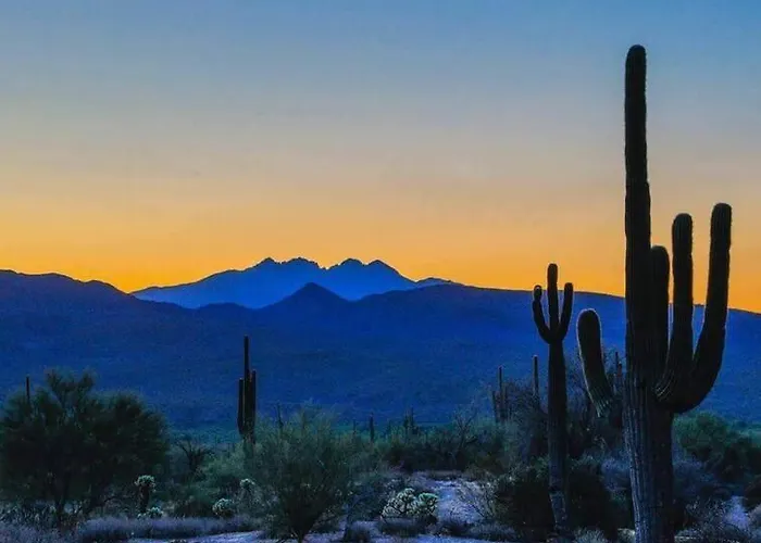 Serene & Secluded - Heart Of The Sonoran Desert Bunkhouse Casita Apartment