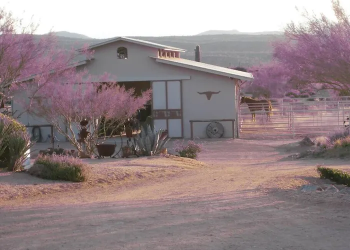 Apartment Serene & Secluded - Heart Of The Sonoran Desert Bunkhouse Casita