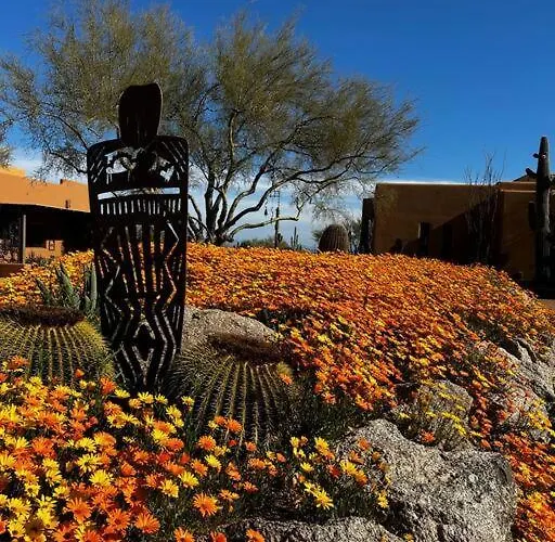 Serene & Secluded - Heart Of The Sonoran Desert Bunkhouse Casita Apartment *
