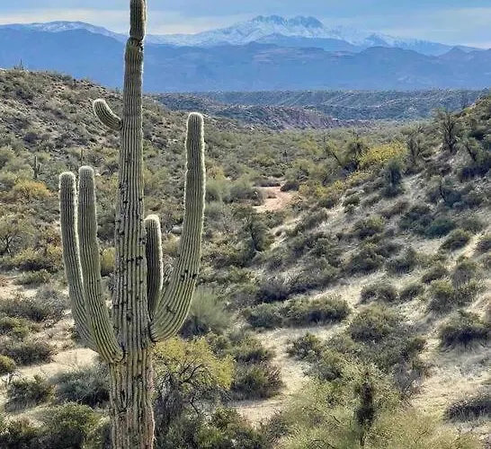 Serene & Secluded - Heart Of The Sonoran Desert Bunkhouse Casita Apartment Scottsdale