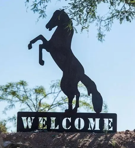 Serene & Secluded - Heart Of The Sonoran Desert Bunkhouse Casita Scottsdale