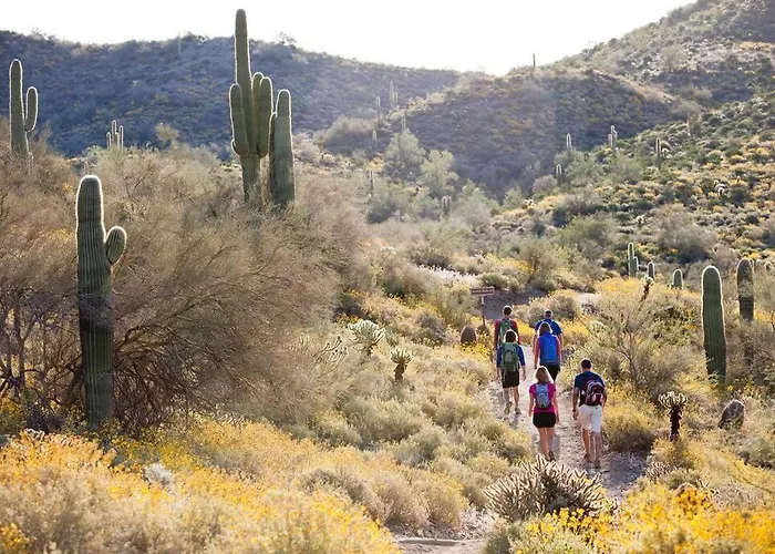 Serene & Secluded - Heart Of The Sonoran Desert Bunkhouse Casita Apartment Scottsdale