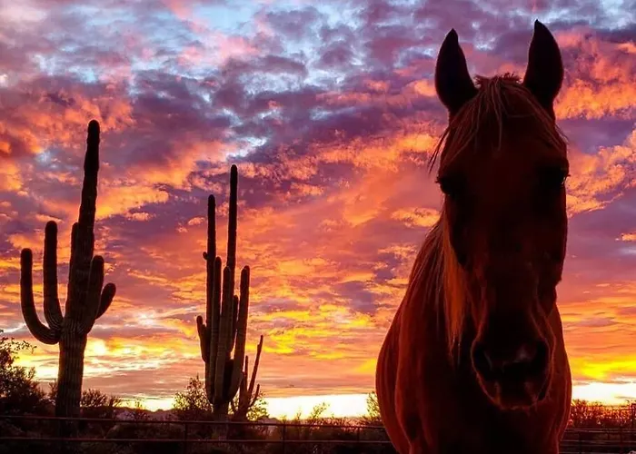 Serene & Secluded - Heart Of The Sonoran Desert Bunkhouse Casita Apartment