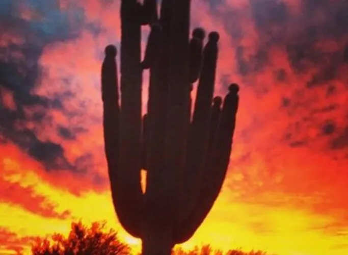 Apartment Serene & Secluded - Heart Of The Sonoran Desert Bunkhouse Casita Scottsdale